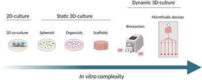 Modeling the Leukemia Microenviroment In Vitro